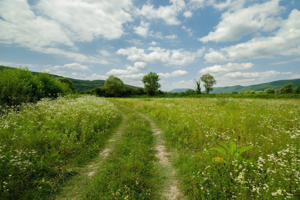 Природа Краснодарский край